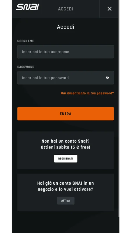 Accedi al sito